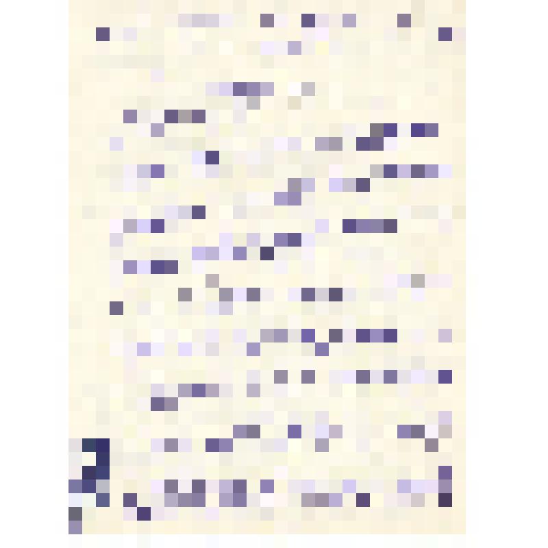 Письмо от В.В.Листовой Ел.Ф.Гнесиной 26.07.1955 г