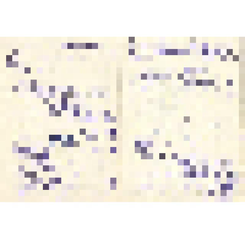 Письмо от В.В.Листовой Ел.Ф.Гнесиной 26.07.1955 г