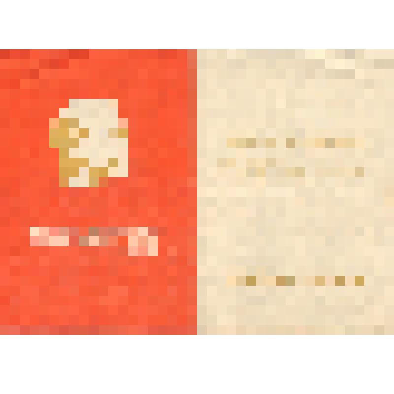 Благодарность Полухину Т.А. от Барнаульского горкома КПСС и исполкома городского совета депутатов трудящихся за участие в ленинском коммунистическом субботнике 17 апреля 1971 г