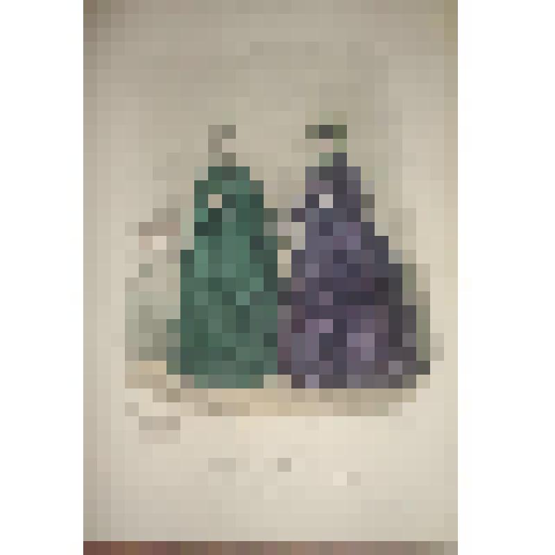 Литография. Лист из журнала "Вестник моды". Две женщины на смотровой площадке