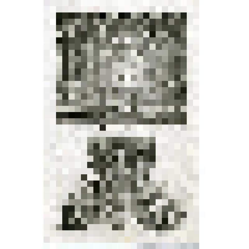 Офорт. Лист 134. Иллюстрации