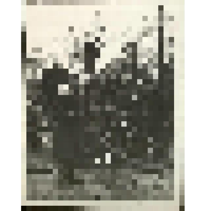 Группа пожарных Паргаловского пожарного общества у машины. Фотография