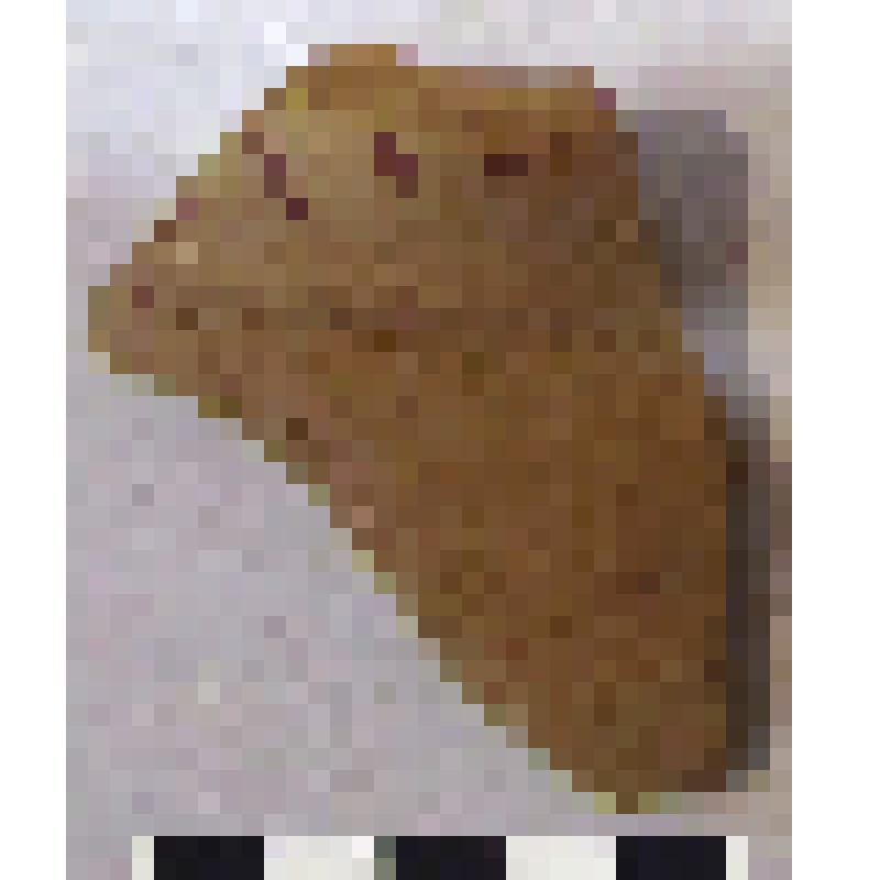 Фрагмент нижней части горла с частью плеча амфоры типа D с дипинто