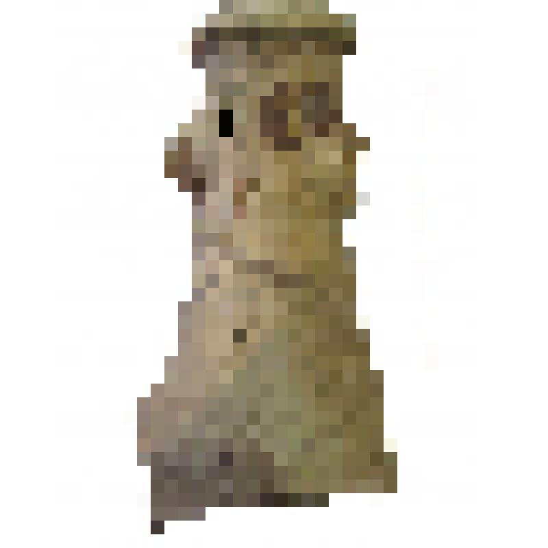 Горло амфоры типа D с дипинто