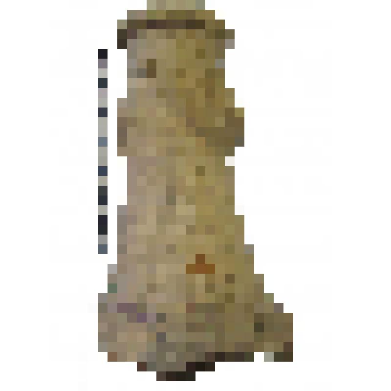 Горло амфоры типа D с дипинто