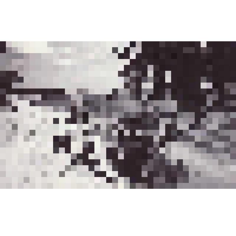 Фотография черно-белая. Из серии "Дети". Девочка на берегу моря (условно)