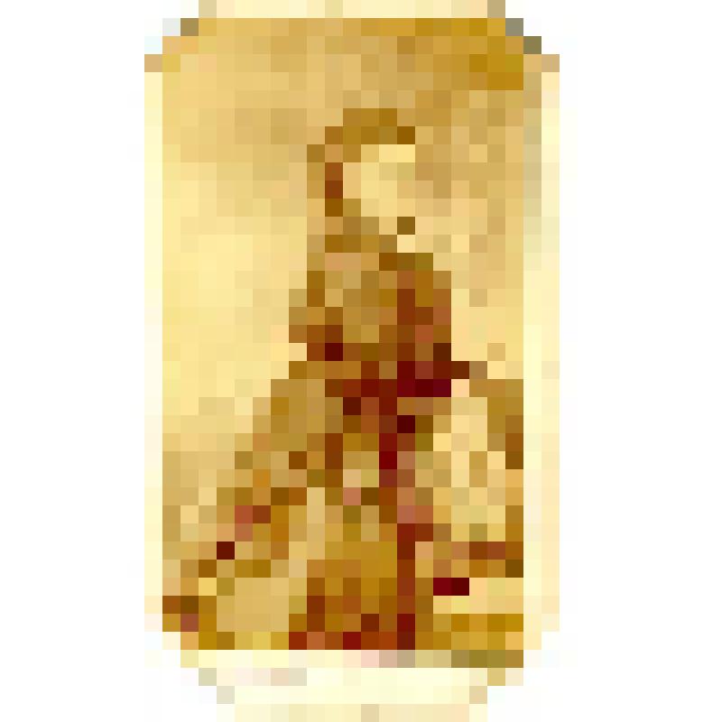 Фотография. Куракина, графиня