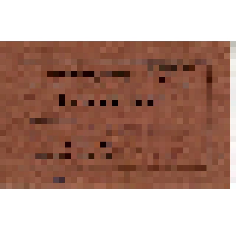 Гостевой билет 00199 Андреева С.М