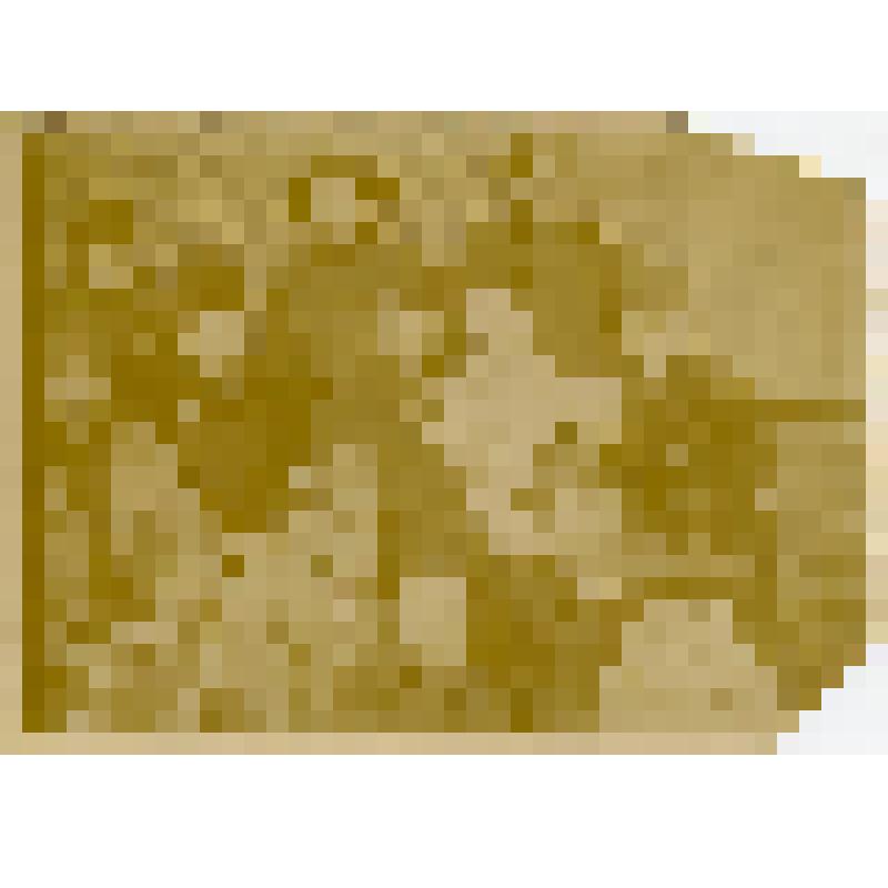 Ольминский М.С. в группе ссыльных. Верхоленск. 1899