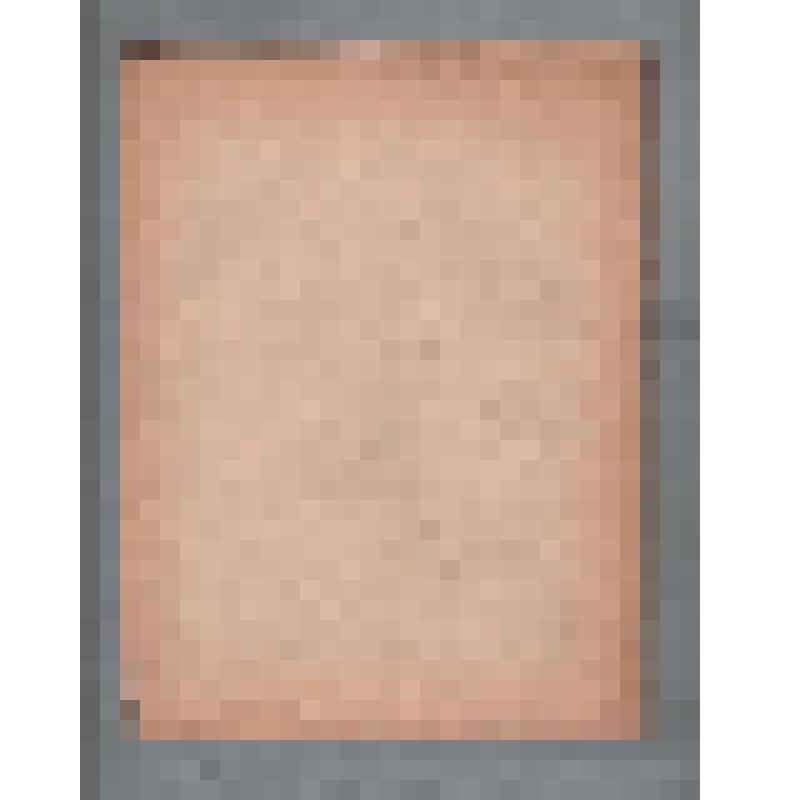 Клавир. Романсы. Лебедь. для сопр. М.-сопр