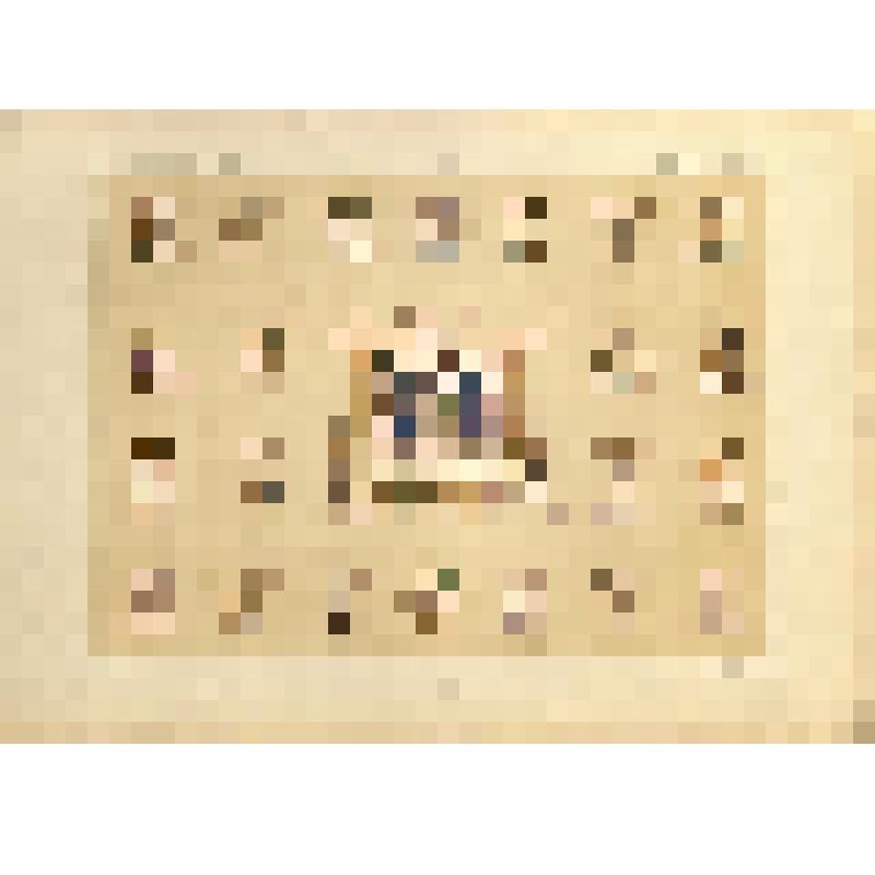 Лист XXXVII (37). Русский орнамент XIII-XIV вв. Из альбома «История русского орнамента. С X по XVI столетие. По древним рукописям»