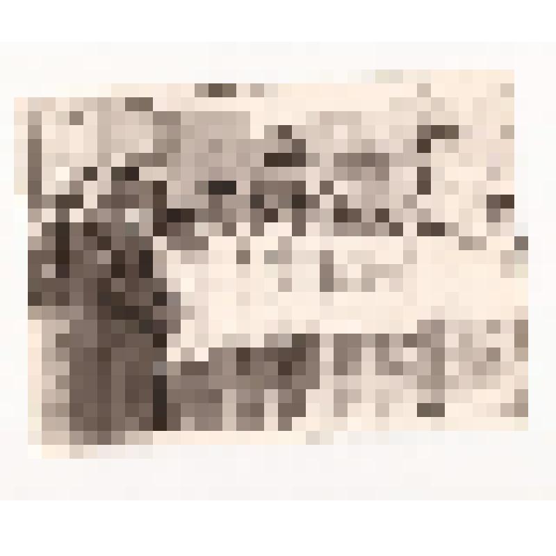 Фотография. Спортсмены