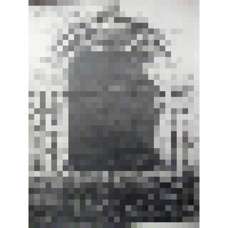 Воскресенская церковь. 1697г, трапезная - 1834г., колокольня - 1873г.. Московская  обл., Домодедовский р-н, с. Колычево. Воскресенская церковь. 1697г, трапезная - 1834г., колокольня - 1873г.. Вашков Сергей Иванович. Северный портал