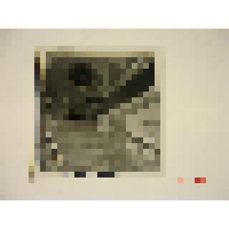 Цирк. 1981. Молдавия, г. Кишинев. Цирк. Шойхет. Интерьер. Фрагмент