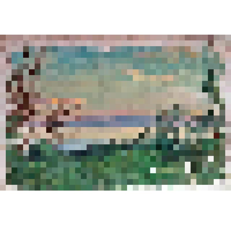 Картина. Вечер