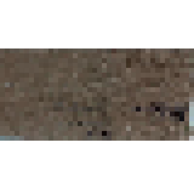 Картина. Вечер