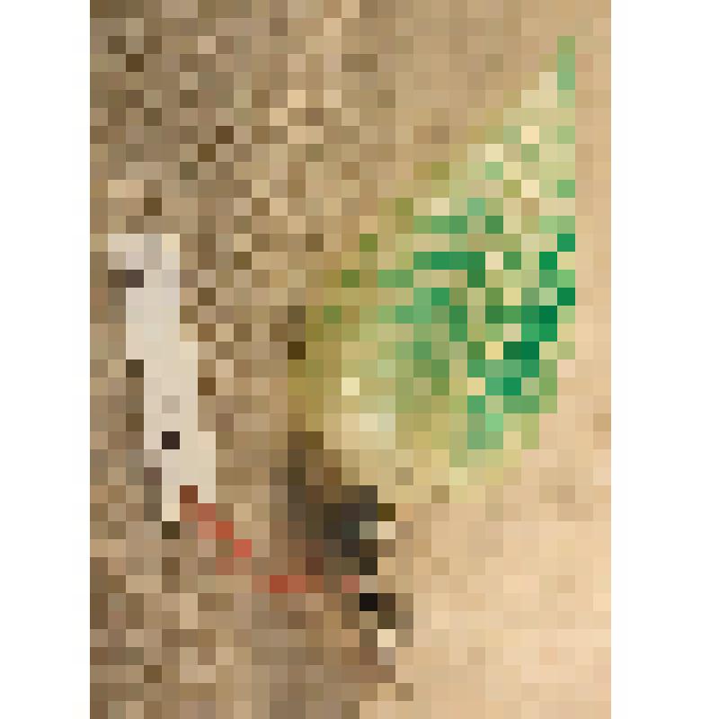 Игрушка елочная «Шишка», из коллекции елочных игрушек и украшений