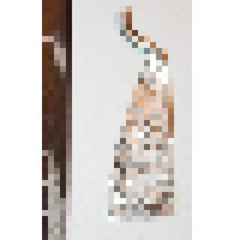 Сюльгама лопастная