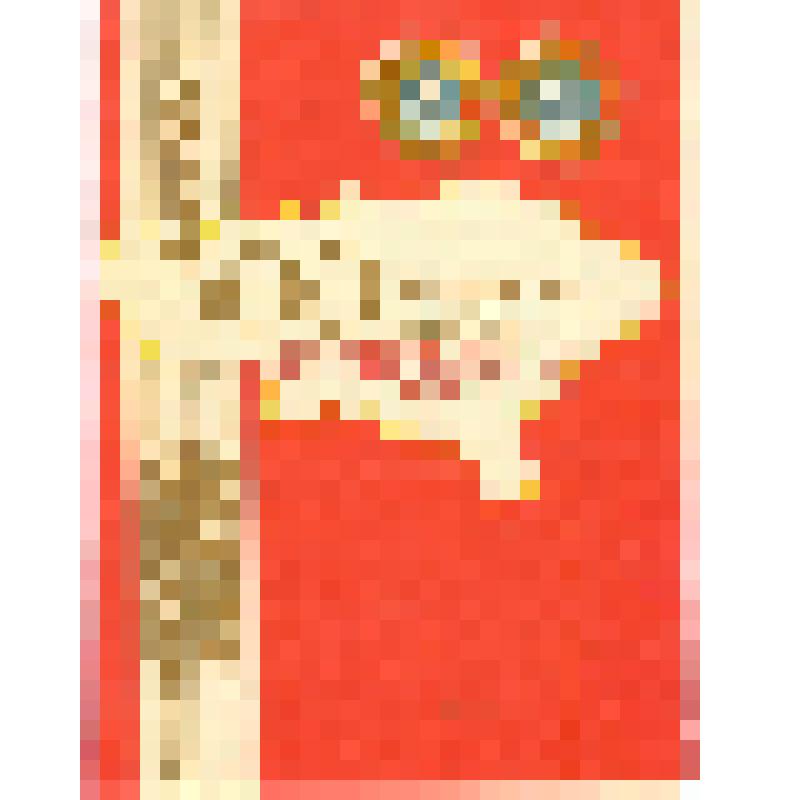 Грамота благодарственная Радиной Вере Федоровне за активное участие в уборке урожая и в борьбе за сдачу государству 300 миллионов пудов саратовского хлеба в 1973 г