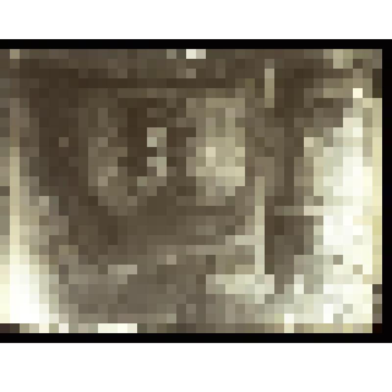 Негатив на стеклянном носителе. Родовое святилище жреца Иласа Гутцова; внутренность притвора. Осетины