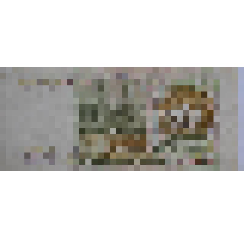 Ассигнация 1000 рублей