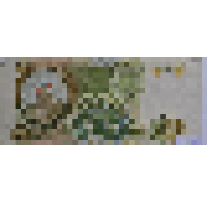 Ассигнация 1000 рублей