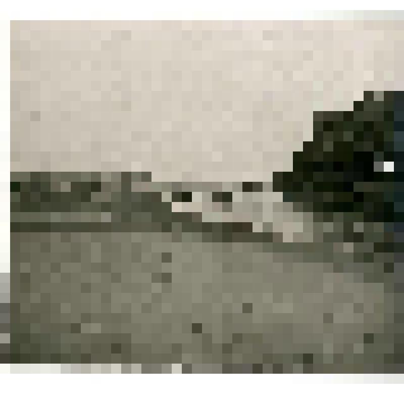 Фотография. Выгрузка бочек с баржи «Волга»