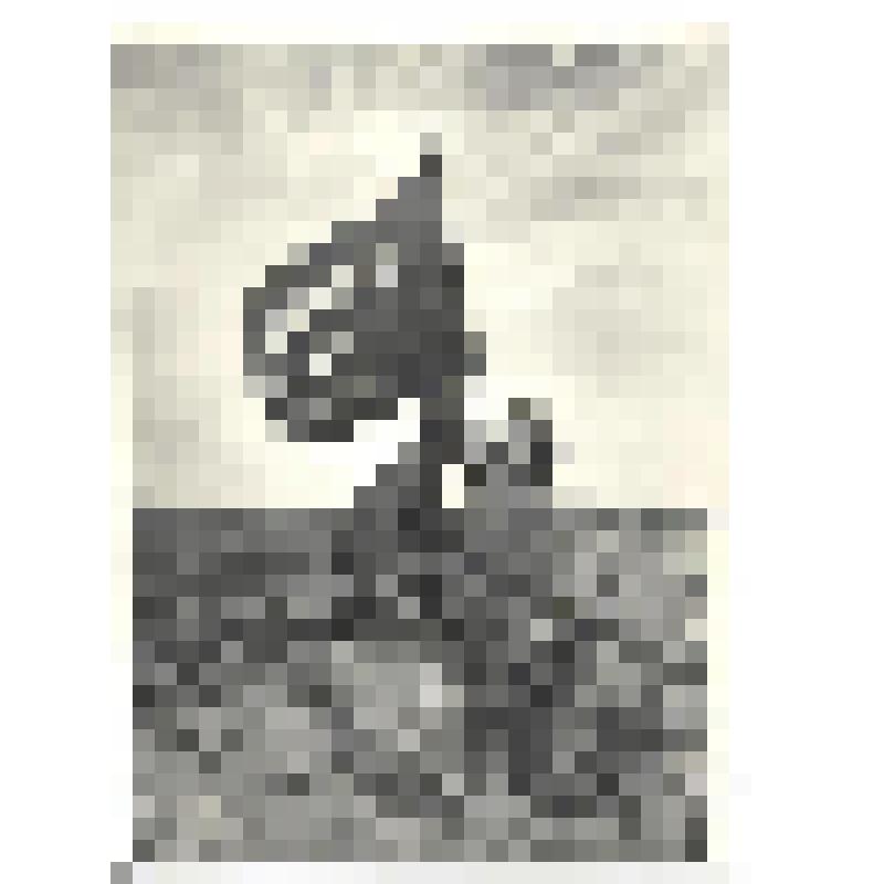 Фотографии. Фото ч/б. Советское знамя у реки "Халхин-Гол".1939 г