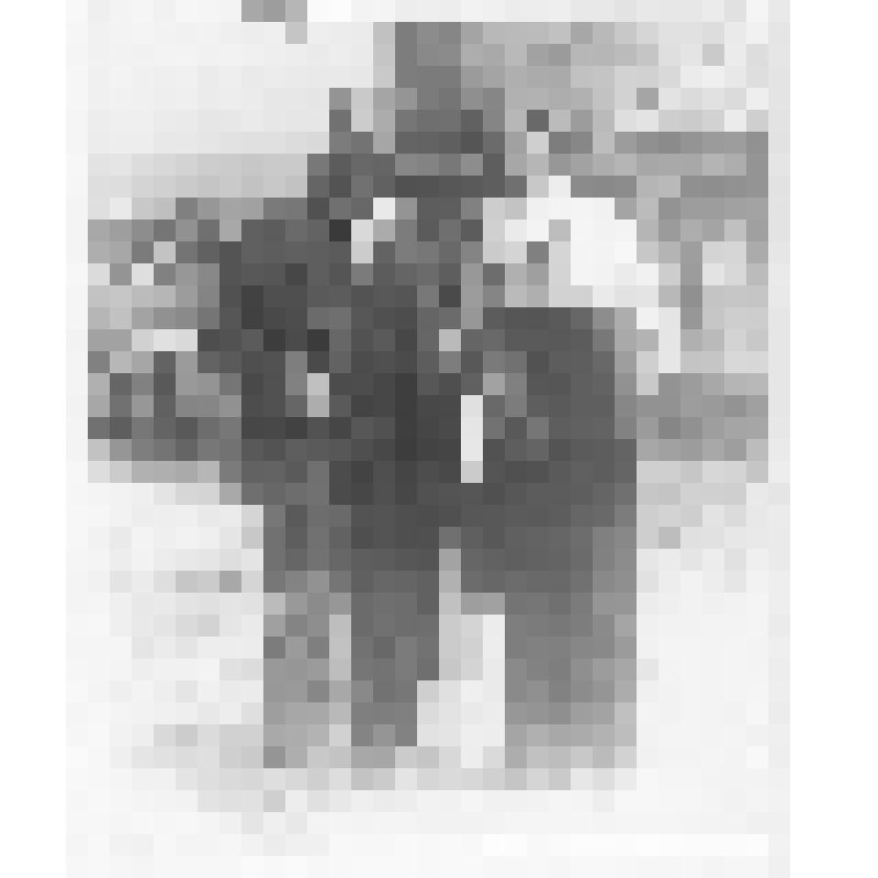 Ч/б фотография