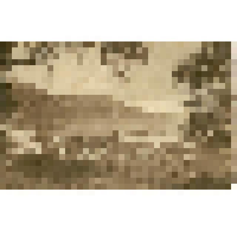 Фотооткрытка. Болье. Центральная улица