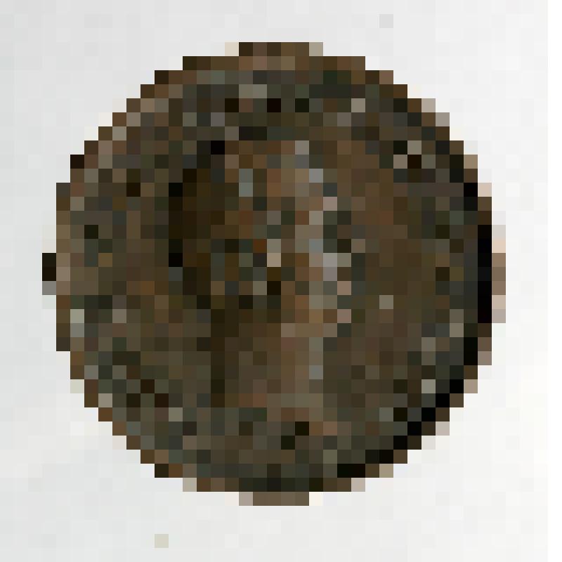 Медаль памятная. "От Лисинского учебного лесничества", автор Алексеев А.А