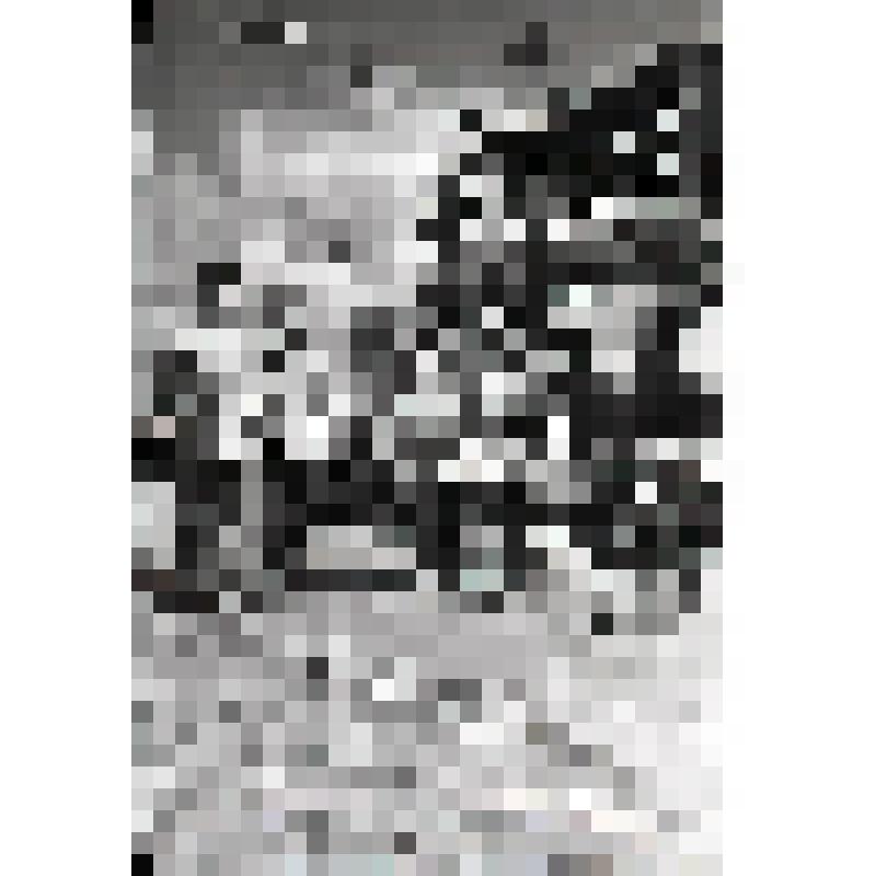 Негатив. Будущие верхолазы А. Столбов, С. Лебедев, А. Шунайлов и Б. Сивков