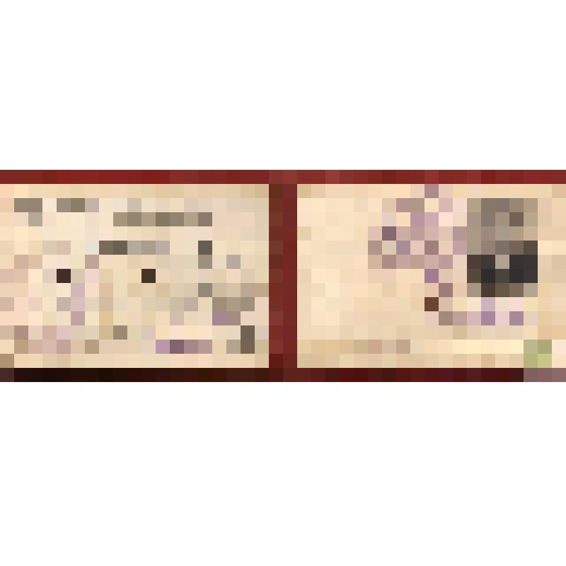 Депутатский билет Зиновьевой Н.А., депутата Смол.Гор.Совета депутатов труд-ся 4 созыва 1953г