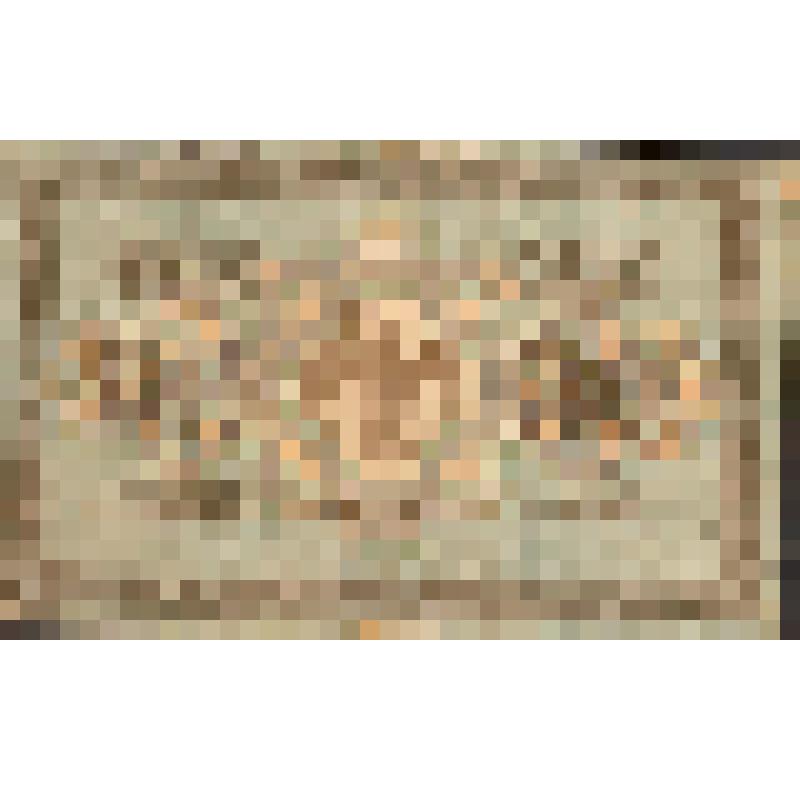 Денежный знак. Государственный кредитный билет. 5000  рублей. АЭ - 046342, 1918 года. СССР, Российская империя