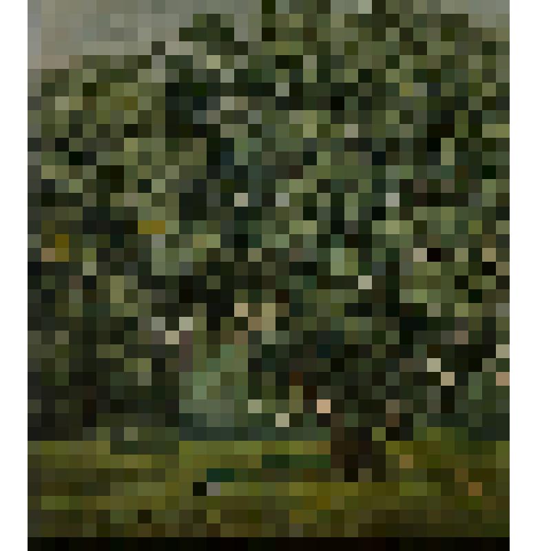 Пейзаж с сороками