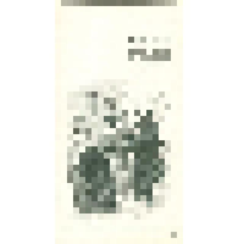 Иллюстрация 68  "Дамы наперерыв принялись сообщать ему все события...". Из комплекта "А. Агин. Избранные иллюстрации к поэме Н.В. Гоголя "Мёртвые души". Грав. М. Приданцев, И. Неутолимов."