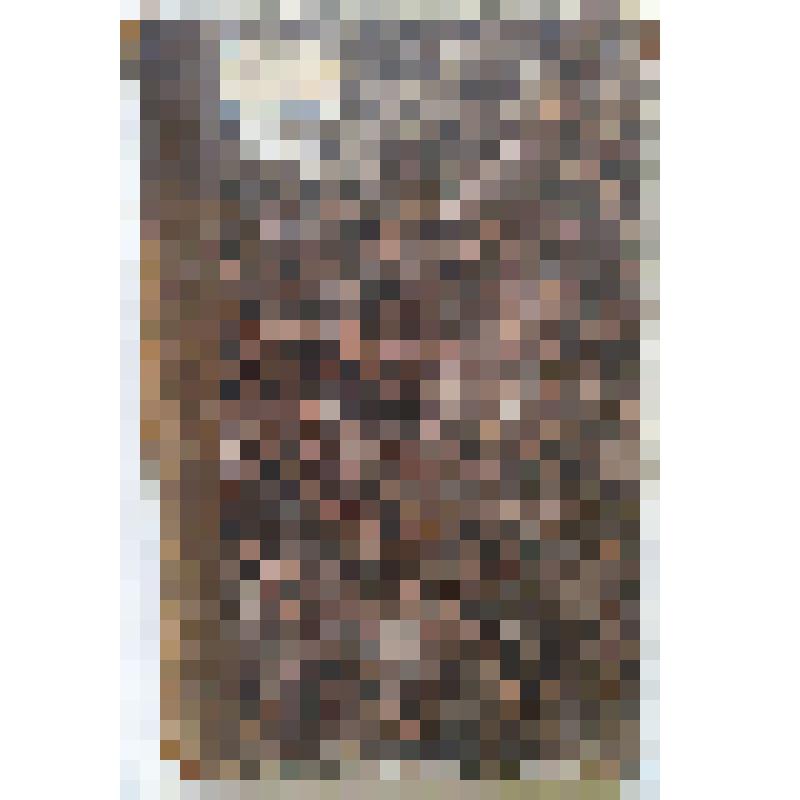 -Руководство к познанию всеобщей политической истории. Ч.1. "Древняя история". - СПб., 1831 г. - X-XXIII с., 2-206 с