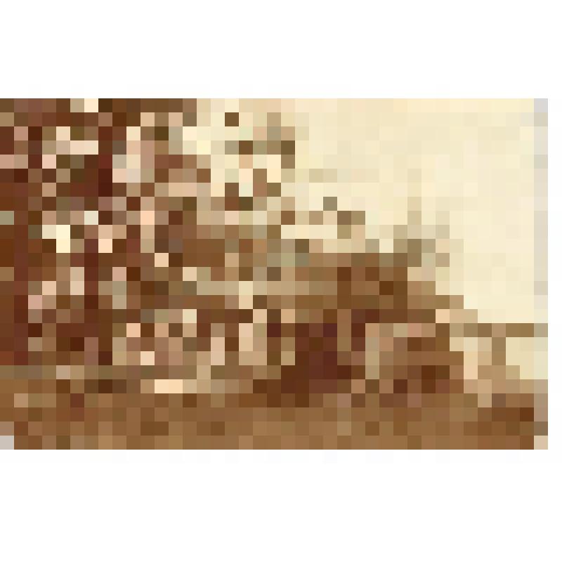 Фотография. Часовня возле Богородице Рождественской церкви