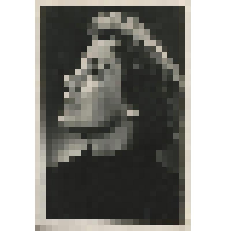 Фотография "Т. Литвиненко", 1959 г