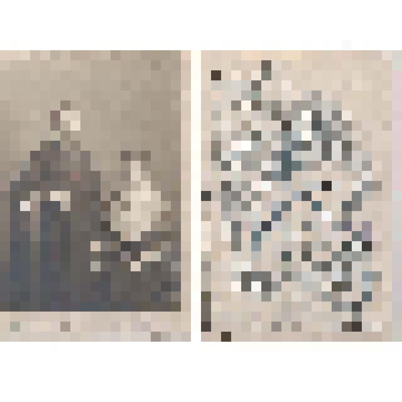 Портрет молодой супружеской пары (П.и И. Шеломовы)