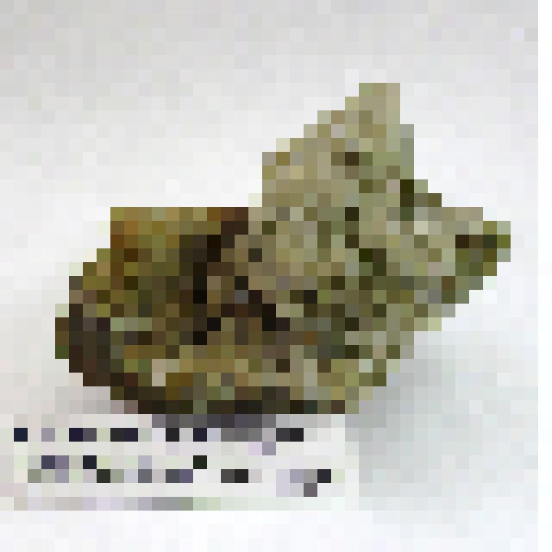 Геологический образец