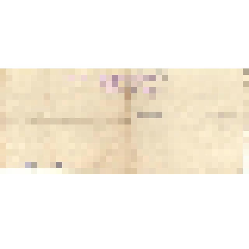 справка. Справка о ранении №1169 Мельникова А.Д