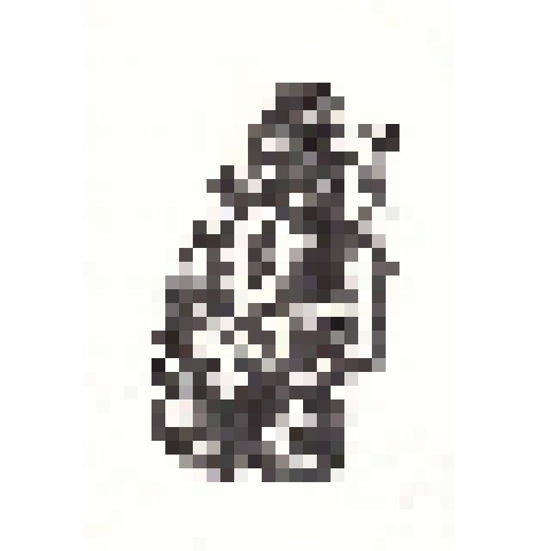 Экслибрис "Книга Вл. Шатько"