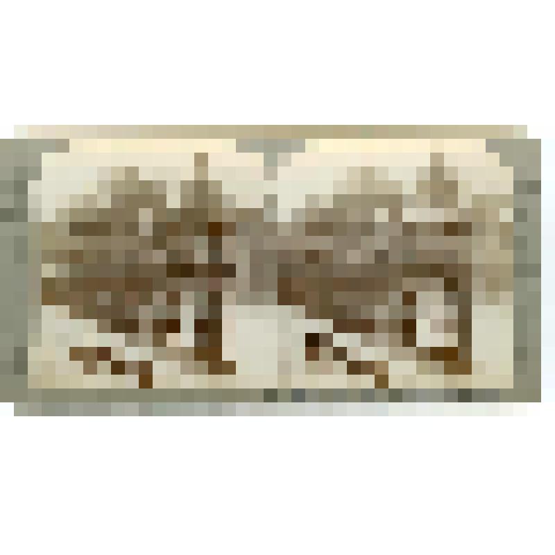 Индия. Неизвестный город. Царская гробница. Underwood & Underwood