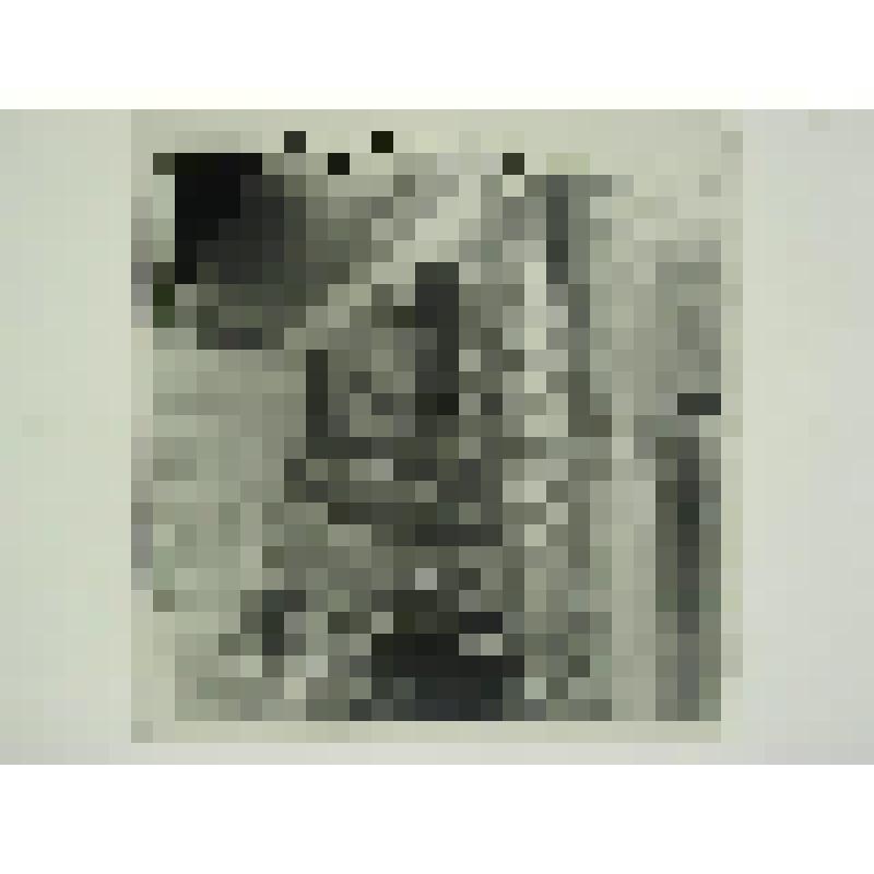 Дом Баранчиковых. Ул. Красный путь. 1880-е гг. Челябинская  обл., Кусинский р-н, с. Медведевка. Дом Баранчиковых. Ул. Красный путь. 1880-е гг. Торцевой дворовый фасад