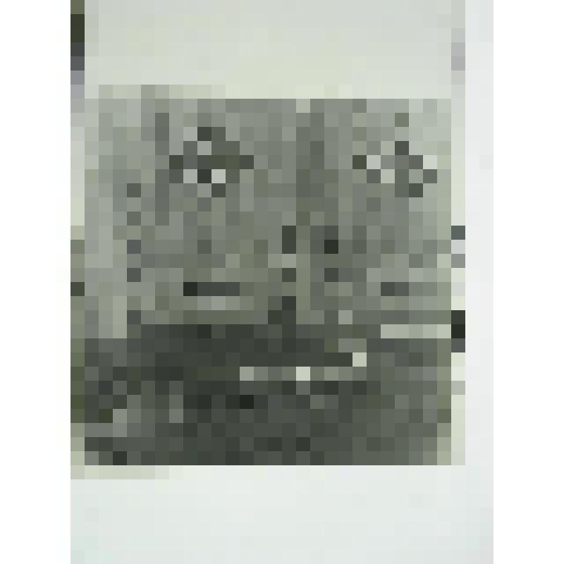 Дом Есенкова. нач.ХХ в. Челябинская  обл., Кусинский р-н, д. Аршинка. Дом Есенкова, нач.ХХ в. Ворота. Створка калитки