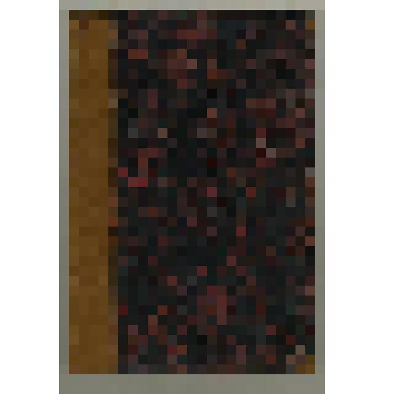 Грибоедов А.С. Горе от ума: Комедия в 4-х действиях в стихах.- Второе полное (исправленное) издание.- СПб.: Изд. Николая Тиблена. Тип. П.А.Кулиша, 1862.- 98с