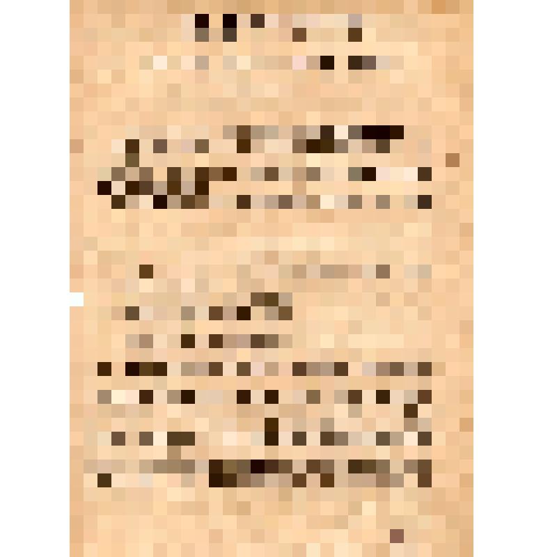 Положение о народной милиции города Москвы