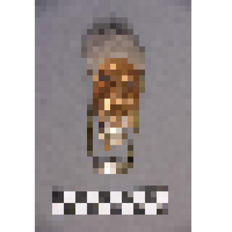 чеканка. Талисман на металлической пластине в виде продолговатого лица человека. волосы из меха.  Височная подвеска закреплена на кольцах Во рту закреплено металлическое кольцо. На обратной стороне подложка из кожи. Вверху пластины закреплено металлическо