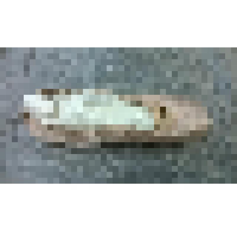 Пуант  Карсавиной.Т.П. Розовый. (Италия.)